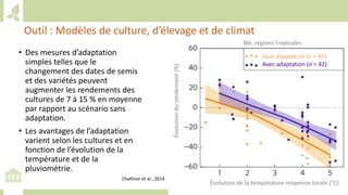 Training workshop on Implementing Nationally Determined Contributions (NDC) Commitments in Agriculture (French)