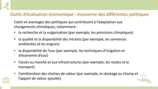 Training workshop on Implementing Nationally Determined Contributions (NDC) Commitments in Agriculture (French)