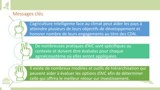 Training workshop on Implementing Nationally Determined Contributions (NDC) Commitments in Agriculture (French)