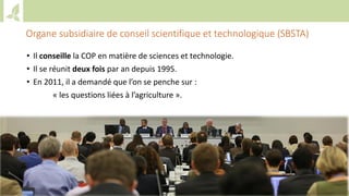 Training workshop on Implementing Nationally Determined Contributions (NDC) Commitments in Agriculture (French)