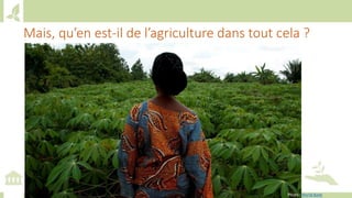 Training workshop on Implementing Nationally Determined Contributions (NDC) Commitments in Agriculture (French)