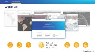 Achieving NDC Ambition in Agriculture: How much does agriculture contribute to global climate goals in the NDCs?