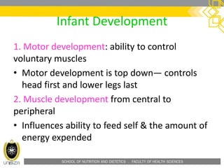 SCHOOL OF NUTRITION AND DIETETICS . FACULTY OF HEALTH SCIENCES
Infant Development
1. Motor development: ability to control
voluntary muscles
• Motor development is top down— controls
head first and lower legs last
2. Muscle development from central to
peripheral
• Influences ability to feed self & the amount of
energy expended
 