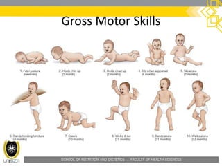 SCHOOL OF NUTRITION AND DIETETICS . FACULTY OF HEALTH SCIENCES
Gross Motor Skills
 