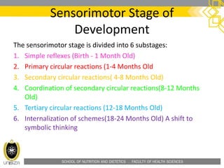 SCHOOL OF NUTRITION AND DIETETICS . FACULTY OF HEALTH SCIENCES
Sensorimotor Stage of
Development
The sensorimotor stage is divided into 6 substages:
1. Simple reflexes (Birth - 1 Month Old)
2. Primary circular reactions (1-4 Months Old
3. Secondary circular reactions( 4-8 Months Old)
4. Coordination of secondary circular reactions(8-12 Months
Old)
5. Tertiary circular reactions (12-18 Months Old)
6. Internalization of schemes(18-24 Months Old) A shift to
symbolic thinking
 
