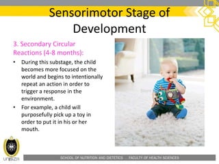 SCHOOL OF NUTRITION AND DIETETICS . FACULTY OF HEALTH SCIENCES
Sensorimotor Stage of
Development
3. Secondary Circular
Reactions (4-8 months):
• During this substage, the child
becomes more focused on the
world and begins to intentionally
repeat an action in order to
trigger a response in the
environment.
• For example, a child will
purposefully pick up a toy in
order to put it in his or her
mouth.
 