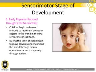 SCHOOL OF NUTRITION AND DIETETICS . FACULTY OF HEALTH SCIENCES
Sensorimotor Stage of
Development
6. Early Representational
Thought (18-24 months):
• Children begin to develop
symbols to represent events or
objects in the world in the final
sensorimotor substage.
• During this time, children begin
to move towards understanding
the world through mental
operations rather than purely
through actions.
 