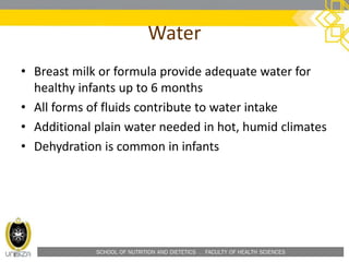 SCHOOL OF NUTRITION AND DIETETICS . FACULTY OF HEALTH SCIENCES
Water
• Breast milk or formula provide adequate water for
healthy infants up to 6 months
• All forms of fluids contribute to water intake
• Additional plain water needed in hot, humid climates
• Dehydration is common in infants
 