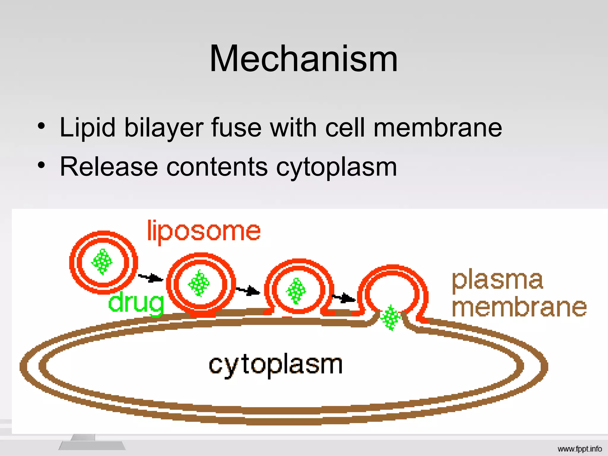 Mechanism
• Lipid bilayer fuse with cell membrane
• Release contents cytoplasm