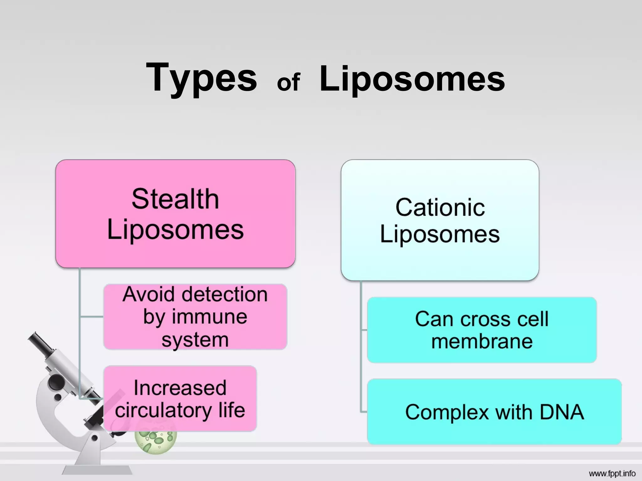 Types of Liposomes