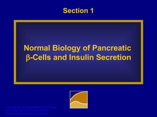 Section 1 Normal Biology of Pancreatic   -Cells and Insulin Secretion 