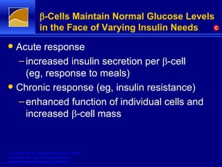 Ndei Beta Cell Slide Kit Biology | PPT - Beta-Cell Function In Subjects Spanning The Range From Normal Glucose