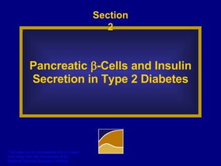 Section 2 Pancreatic   -Cells and Insulin Secretion in Type 2 Diabetes 