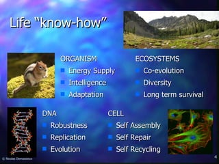 Life “know-how” CELL Self Assembly Self Repair Self Recycling DNA Robustness Replication Evolution ORGANISM Energy Supply Intelligence Adaptation ECOSYSTEMS Co-evolution Diversity Long term survival © Nicolas Demassieux 