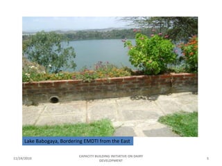 11/24/2010CAPACITY BUILDING INITIATIVE ON DAIRY DEVELOPMENT5Lake Babogaya, Bordering EMDTI from the East