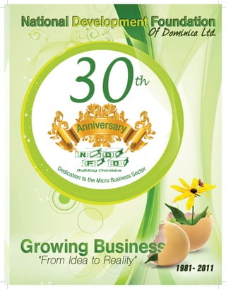 “30 years of Dedication to the Micro Business Sector”




                                                    1
 