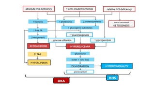 ndfhrGlucose metabolism.pptx