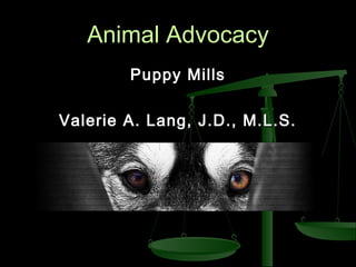 Animal AdvocacyAnimal Advocacy
Puppy MillsPuppy Mills
Valerie A. Lang, J.D., M.L.S.Valerie A. Lang, J.D., M.L.S.
 