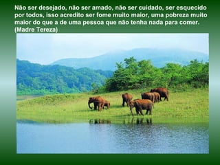 Não ser desejado, não ser amado, não ser cuidado, ser esquecido por todos, isso acredito ser fome muito maior, uma pobreza muito maior do que a de uma pessoa que não tenha nada para comer. (Madre Tereza)  