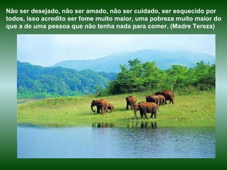 Não ser desejado, não ser amado, não ser cuidado, ser esquecido por todos, isso acredito ser fome muito maior, uma pobreza muito maior do que a de uma pessoa que não tenha nada para comer. (Madre Tereza)  