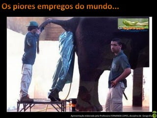 Apresentação elaborada pela Professora FERNANDA LOPES, disciplina de Geografia
 