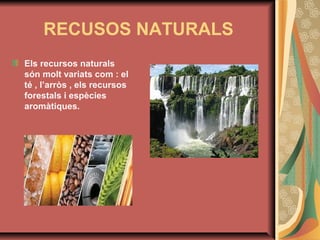 RECUSOS NATURALS
Els recursos naturals
són molt variats com : el
té , l’arròs , els recursos
forestals i espècies
aromàtiques.

 