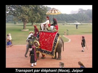 Transport par éléphant (Noce), Jaipur 