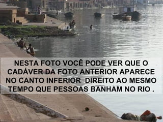 NESTA FOTO VOCÊ PODE VER QUE O
CADÁVER DA FOTO ANTERIOR APARECE
NO CANTO INFERIOR DIREITO AO MESMO
TEMPO QUE PESSOAS BANHAM NO RIO .
 