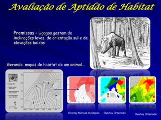 Avaliação de Aptidão de Habitat

   Premissas – Ugagos gostam de
   inclinações leves, de orientação sul e de
   elevações baixas




Gerando mapas de habitat de um animal…




                                 Overlay Manual de Mapas   Overlay Ordenado   Overlay Ordenado
 