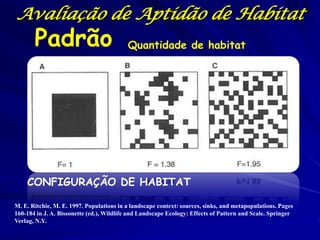 Avaliação de Aptidão de Habitat
       Padrão                             Quantidade de habitat




    CONFIGURAÇÃO DE HABITAT

M. E. Ritchie, M. E. 1997. Populations in a landscape context: sources, sinks, and metapopulations. Pages
160-184 in J. A. Bissonette (ed.), Wildlife and Landscape Ecology: Effects of Pattern and Scale. Springer
Verlag, N.Y.
 