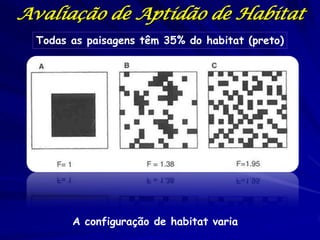 Avaliação de Aptidão de Habitat
  Todas as paisagens têm 35% do habitat (preto)




        A configuração de habitat varia
 