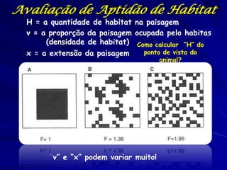 Avaliação de Aptidão de Habitat
  H = a quantidade de habitat na paisagem
  v = a proporção da paisagem ocupada pelo habitas
       (densidade de habitat) Como calcular “H” do
  x = a extensão da paisagem    ponto de vista do
                                       animal?




       “v” e “x” podem variar muito!
 
