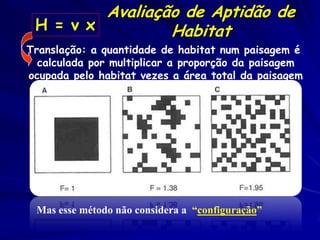 Avaliação de Aptidão de
 H = v x         Habitat
Translação: a quantidade de habitat num paisagem é
  calculada por multiplicar a proporção da paisagem
ocupada pelo habitat vezes a área total da paisagem




 Mas esse método não considera a “configuração”
 