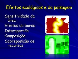 Efeitos ecológicos e da paisagem
Sensitividade da
 área
Efeitos da borda
Interspersão
Composição
Sobreposição de
 recursos
 