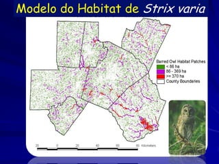 Modelo do Habitat de Strix varia
 