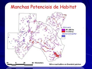 Manchas Potenciais de Habitat



                       Strix varia


                      Seiurus aurocapillus
 