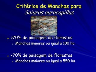 Critérios de Manchas para
            Seiurus aurocapillus



   >70% de paisagem de florestas
       Manchas maiores ou igual a 100 ha


   <70% de paisagem de florestas
       Manchas maiores ou igual a 550 ha
 