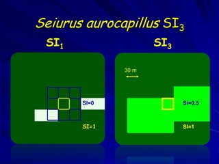 Seiurus aurocapillus SI3
 SI1                 SI3

              30 m




       SI=0                SI=0.5



       SI=1                SI=1
 