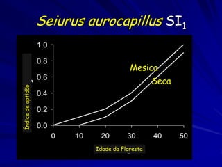 Seiurus aurocapillus SI1
                    1.0
   index


                    0.8
                                               Mesica
                    0.6
                                                       Seca
    Suitability
Índice de aptidão




                    0.4

                    0.2

                    0.0
                          0   10    20        30       40     50
                                   Idade da Floresta
                                    Tree age
 