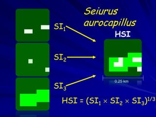 Seiurus
SI1    aurocapillus
                HSI

SI2

                0.25 km
SI3
  HSI = (SI1  SI2  SI3)1/3
 