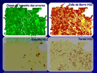 Classe de tamanho das arvores    João de Barro HSI




                  Esquilho HSI          Pardal HSI
 
