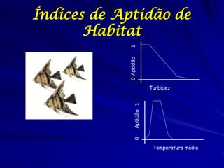 Índices de Aptidão de
       Habitat




            1
            0 Aptidão
                             Turbidez




                 Aptidão 1
                 0

                              Temperatura média
 