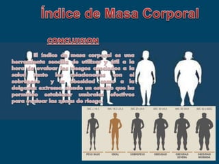Indice de masa corporal