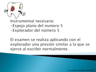 C.D. IGNACIO MENESES GONZÁLEZ
 