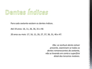 Para cada sextante existem os dentes-índices.

Até 19 anos: 16, 11, 26, 36, 31 e 46

20 anos ou mais: 17, 16, 11, 26, 27, 37, 36, 31, 46 e 47.



                                               Obs: se nenhum dente estiver
                                           presente, examinam-se todos os
                                        dentes remanescentes do sextante,
                                       não se levando em conta a superfície
                                                distal dos terceiros molares.
 