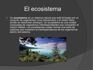 El ecosistema
   Un ecosistema es un sistema natural que está formado por un
    conjunto de organismos vivos (biocenosis) y el medio físico
    donde se relacionan (biotopo). Un ecosistema es una unidad
    compuesta de organismos interdependientes que comparten el
    mismo hábitat. Los ecosistemas suelen formar una serie de
    cadenas que muestran la interdependencia de los organismos
    dentro del sistema.
 