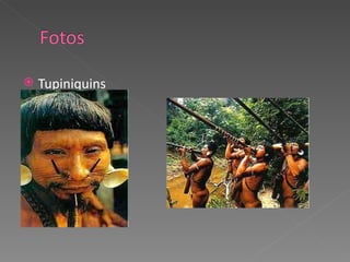 Tupiniquins 