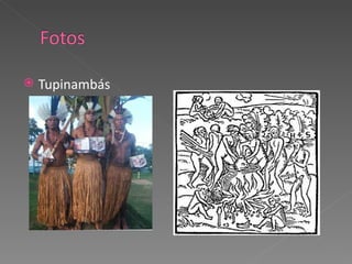 Tupinambás 