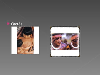 Caetés 