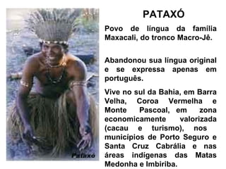 PATAXÓ
Povo de língua da família
Maxacali, do tronco Macro-Jê.


Abandonou sua língua original
e se expressa apenas em
português.
Vive no sul da Bahia, em Barra
Velha, Coroa Vermelha e
Monte    Pascoal, em      zona
economicamente      valorizada
(cacau e turismo), nos
municípios de Porto Seguro e
Santa Cruz Cabrália e nas
áreas indígenas das Matas
Medonha e Imbiriba.
 
